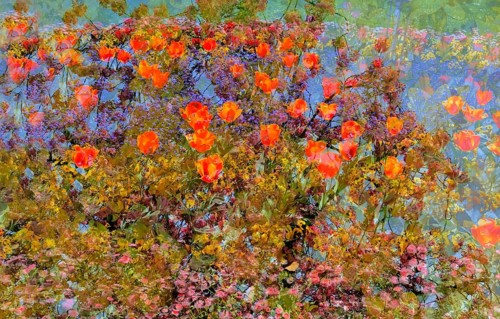 Flowers creative