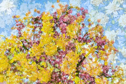 Flowers creative