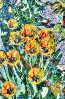 Flowers creative
