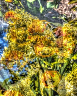 Flowers creative