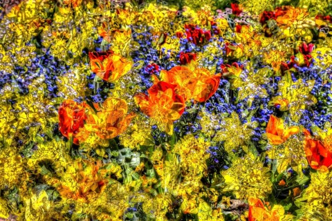 Flowers creative