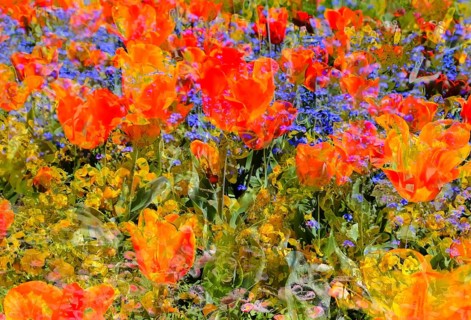 Flowers creative