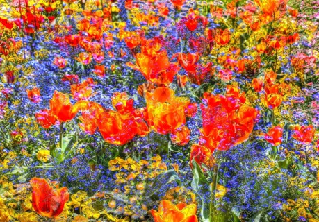 Flowers creative