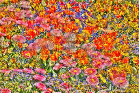 Flowers creative