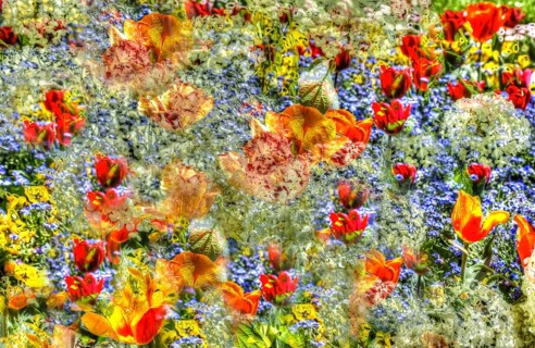 Flowers creative