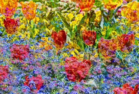 Flowers creative