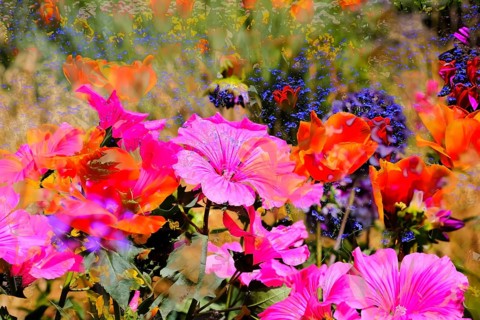 Flowers creative