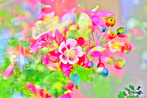 Flowers creative
