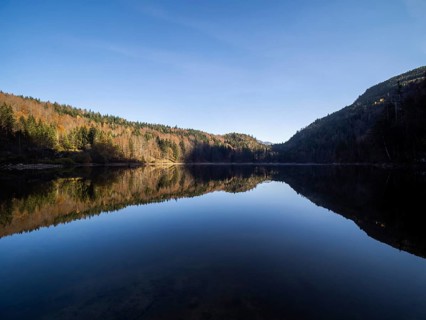 Nussensee