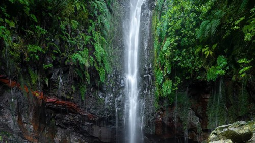 Waterfall between rock face overgrown with ferns