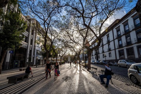 Promenade with benches