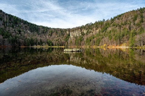 Water reflection at Feldsee in the Southern Black Forest nature park Park