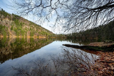 Water reflection at Feldsee in the Southern Black Forest nature park Park