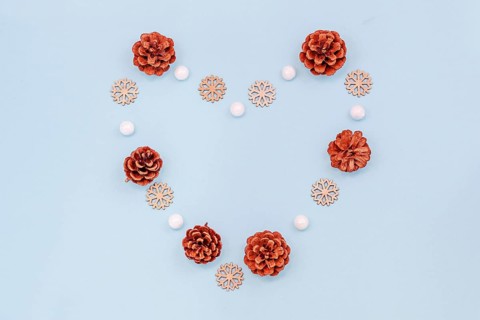 Flat lay heart shaped out pine cones