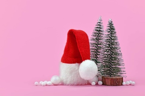 Christmas arrangement with Santa hat