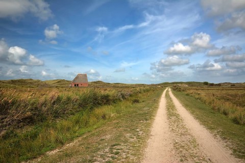 National park De Muy with sheep shelter bungalow building on island Texel in Netherlands