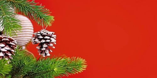 Red Christmas banner with natural fir cone ornament with snow and glitter on tree