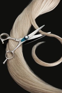 A strand of blond hair with scissors on a black background. Close-up