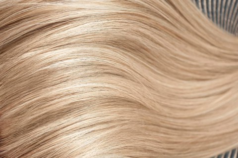 A strand of blond hair on a white background. Close-up
