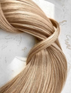 A strand of blond hair on a white background. Close-up