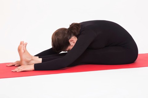 Beautiful athletic girl in black suit doing yoga asanas. Isolated on white background