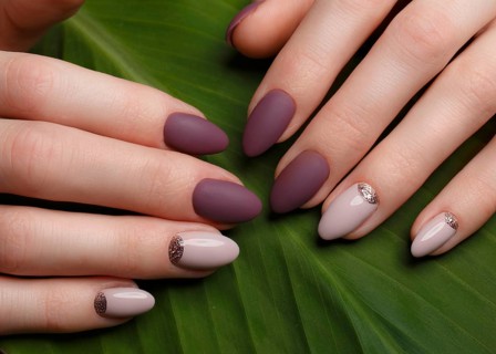 Tender neat manicure on female hands on a background of green leaves. Nail design