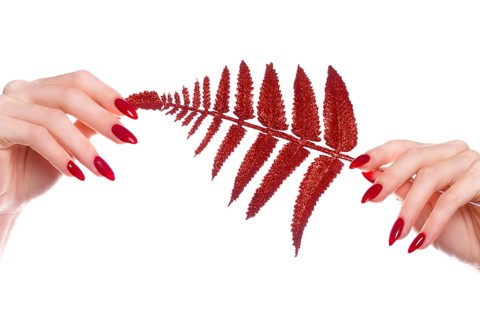 Bright festive red manicure on female hands. Nails design
