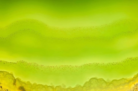 Thin slice of green agate