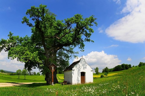Field chapel near Eppishausen