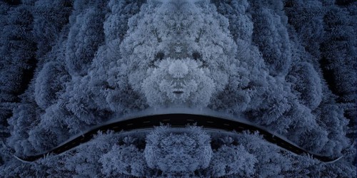 Composing a drone shot of a forest in winter