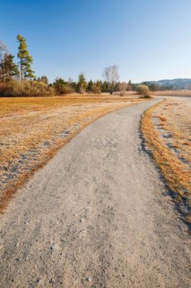 First rays of sunlight illuminate the field path in the nature reserve along Lake Pfaeffikon in the Canton of Zurich