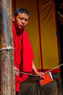 Young monk