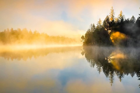 Backlit sunrise with wafts of mist over the mirror-smooth moorland lake Etang de la Gruere in the canton of Jura