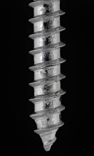 Wood Screw