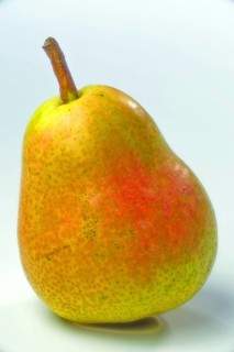 Williams pear