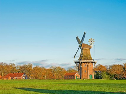 Holtland Mill