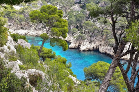 Calanque Port Pin near Cassis on the Cote d'Azur in Provence