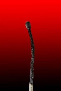 Burned Wooden Match