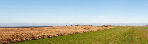 Marsh landscape on the dyke near the mouth of the Ems