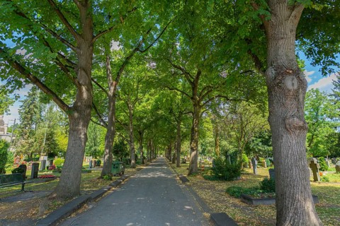 Prague cemetery