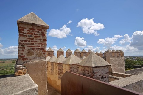 Palisades of the historic city fortification Alcazaba