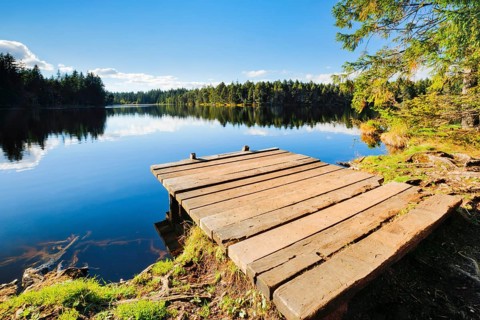 Bathing jetty on the lakeshore of the Etang de la Gruere mire lake in the canton of Jura