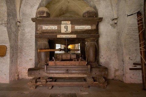 Wine press