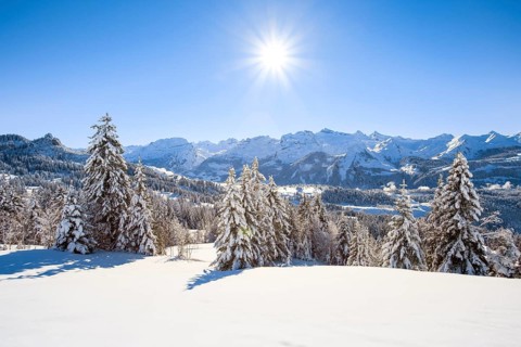 Central Swiss Alps