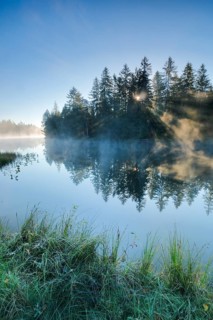 Rays of sunshine make their way through forest and fog at the mirror-smooth moorland lake Etang de la Gruere in the canton of Jura