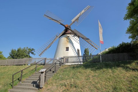 Windmill built approx. 1860 in Podersdorf