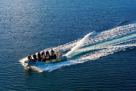 Bird's eye view of diving boat inflatable boat in fast motion with scuba diver on board