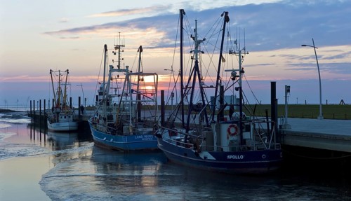 Wremertief harbour with crab cutters and the Kleiner Preusse lighthouse
