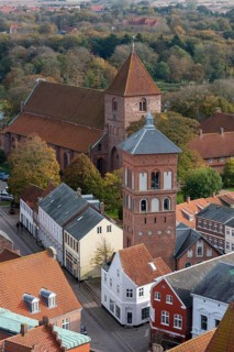 View of Ribe