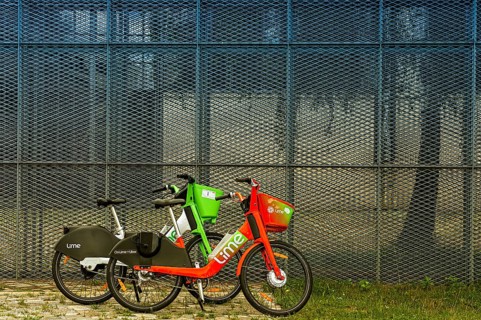 Lime rental bikes in front of high mesh fence
